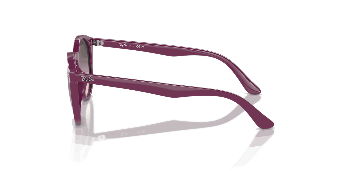 [Pink Grey Lenses, Polished Cherry Frame]