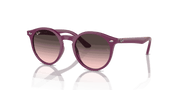 Pink Grey Lenses, Polished Cherry Frame