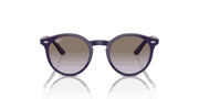 Lillac Light Grey Lenses, Polished Violet Frame