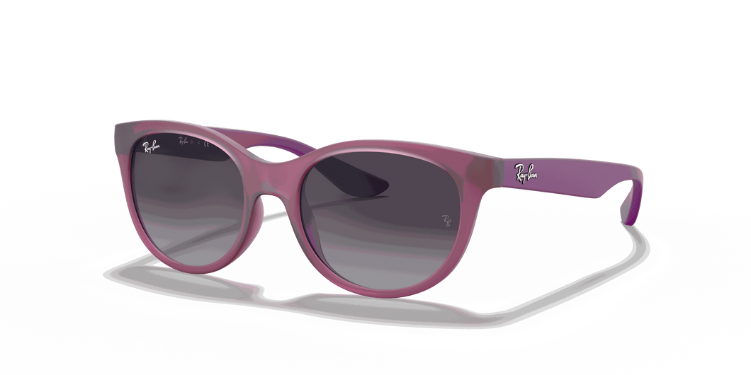 [Light Grey/Dark Grey Lenses, Matte Transparent Fuchsia Frame]