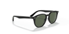 [Dark Green Lenses, Polished Black Frame]