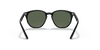 [Dark Green Lenses, Polished Black Frame]