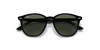 [Dark Green Lenses, Polished Black Frame]