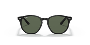 Dark Green Lenses, Polished Black Frame