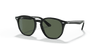 [Dark Green Lenses, Polished Black Frame]