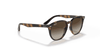 [Brown/Dark Brown Lenses, Polished Havana Frame]