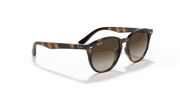 Brown/Dark Brown Lenses, Polished Havana Frame