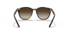 [Brown/Dark Brown Lenses, Polished Havana Frame]