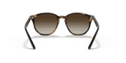 Brown/Dark Brown Lenses, Polished Havana Frame