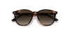 [Brown/Dark Brown Lenses, Polished Havana Frame]