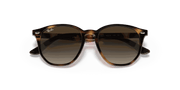 Brown/Dark Brown Lenses, Polished Havana Frame