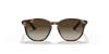 [Brown/Dark Brown Lenses, Polished Havana Frame]