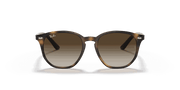 Brown/Dark Brown Lenses, Polished Havana Frame