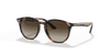 [Brown/Dark Brown Lenses, Polished Havana Frame]