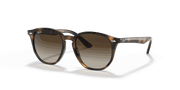 Brown/Dark Brown Lenses, Polished Havana Frame