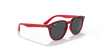 [Dark Grey Lenses, Polished Transparent Red Frame]