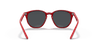 [Dark Grey Lenses, Polished Transparent Red Frame]