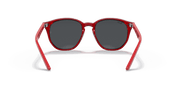 Dark Grey Lenses, Polished Transparent Red Frame