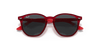 [Dark Grey Lenses, Polished Transparent Red Frame]