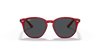 [Dark Grey Lenses, Polished Transparent Red Frame]