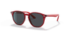 [Dark Grey Lenses, Polished Transparent Red Frame]