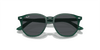 [Dark Grey Lenses, Polished Opal Green Frame]