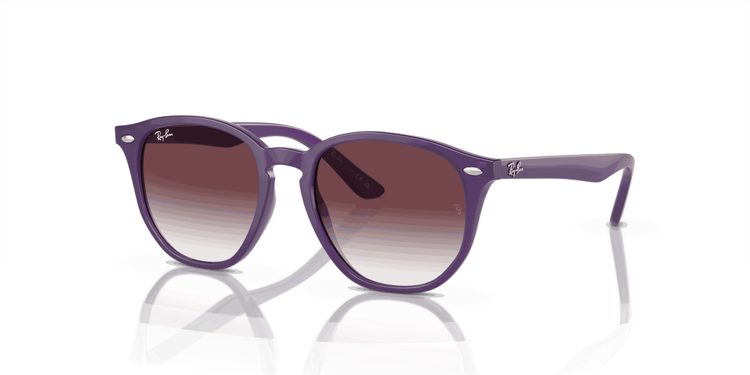 [Grey/Violet Lenses, Polished Opal Violet Frame]