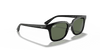 [Dark Green Lenses, Polished Black Frame]