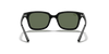 [Dark Green Lenses, Polished Black Frame]