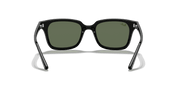 Dark Green Lenses, Polished Black Frame