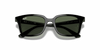 [Dark Green Lenses, Polished Black Frame]