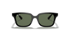 [Dark Green Lenses, Polished Black Frame]