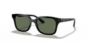 Dark Green Lenses, Polished Black Frame