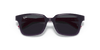 [Dark Grey Lenses, Polished Purple Frame]