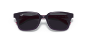 Dark Grey Lenses, Polished Purple Frame