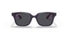 [Dark Grey Lenses, Polished Purple Frame]