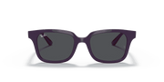 Dark Grey Lenses, Polished Purple Frame