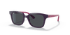 [Dark Grey Lenses, Polished Purple Frame]