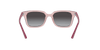 [Grey Lenses, Polished Transparent Pink Frame]