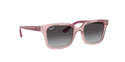 Grey Lenses, Polished Transparent Pink Frame