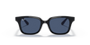 [Dark Blue Lenses, Polished Black Frame]