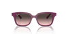 [Pink Grey Lenses, Polished Cherry Frame]