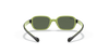 [Dark Green Lenses, Polished Black On Green Frame]