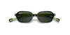 [Dark Green Lenses, Polished Black On Green Frame]