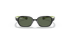 [Dark Green Lenses, Polished Black On Green Frame]