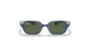 [Dark Green Lenses, Polished Blue On Grey Frame]