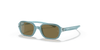 [Dark Brown Lenses, Polished Light Blue Frame]