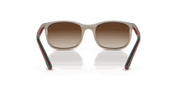 Brown Lenses, Polished Brown On Green Frame