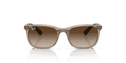 Brown Lenses, Polished Brown On Green Frame