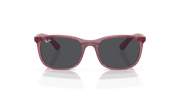 Dark Grey Lenses, Polished Transparent Pink Frame